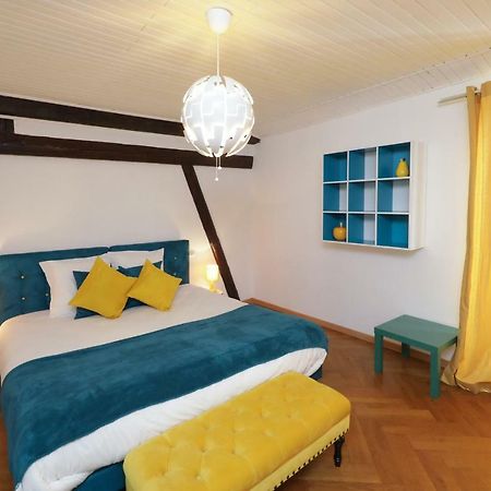 Maison Centre Ville Colmar Jacuzzi Jardin Et Climatisation מראה חיצוני תמונה